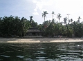 3.Siquijor Coco Grove 164